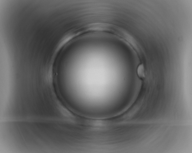 X0000114400787200910231108