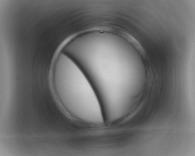 X0000114400796200910231108