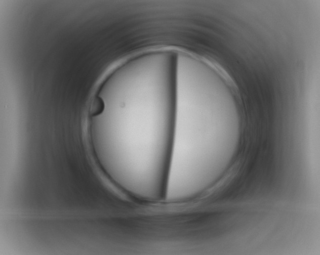 X0000114400797200910231108