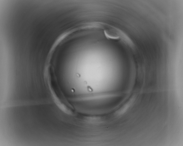 X0000114400800200910231108