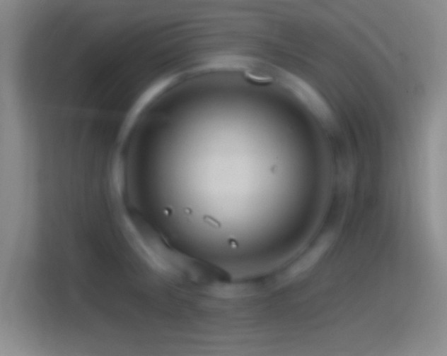 X0000114400804200910231108