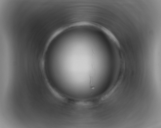 X0000114400805200910231108