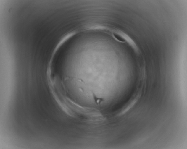 X0000114400806200910231108