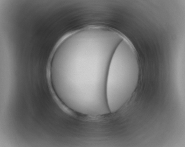 X0000114400811200910231108