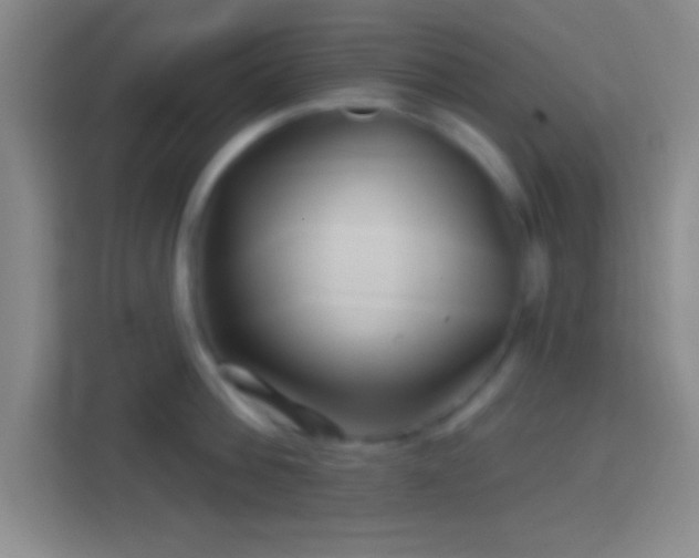 X0000114400812200910231108