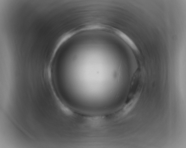 X0000114400813200910231108