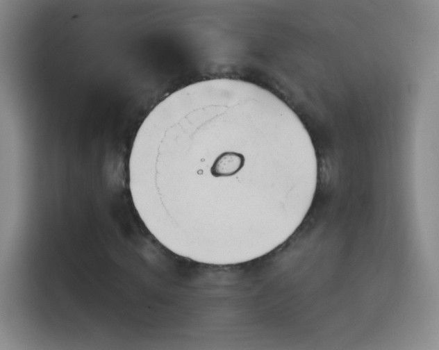 X0000114400820200910231107