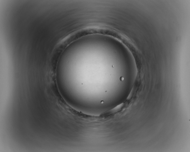 X0000114400822200910231107