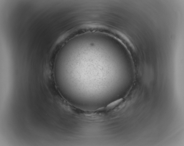 X0000114400823200910231108