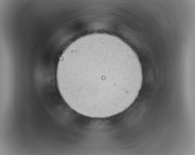 X0000114400824200910231108