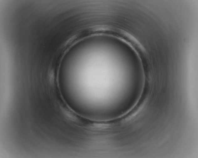 X0000114400825200910231108