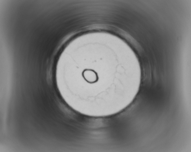 X0000114400828200910231108