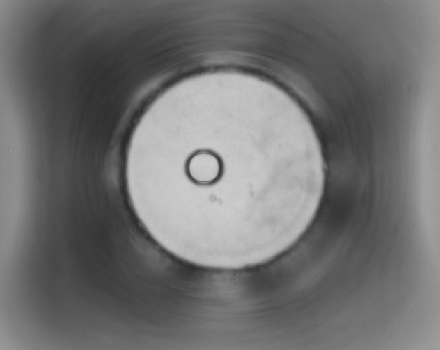 X0000114400832200910231108