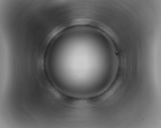 X0000114400834200910231108