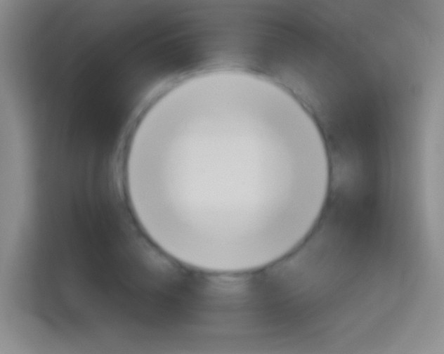 X0000114400836200910231108