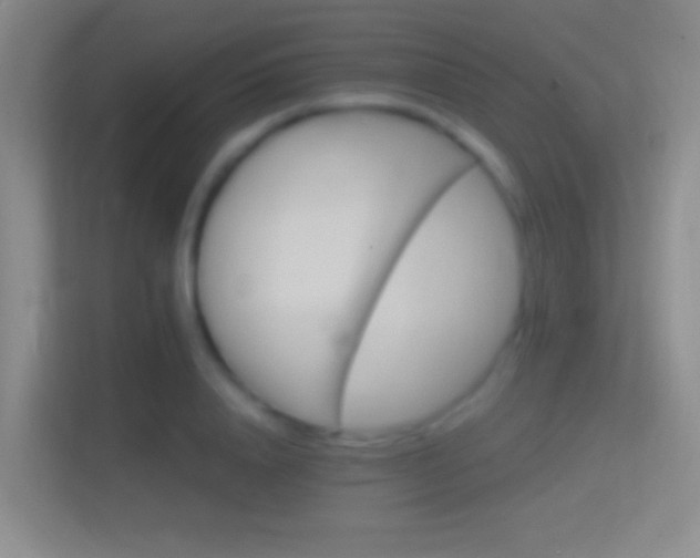 X0000114400840200910231108