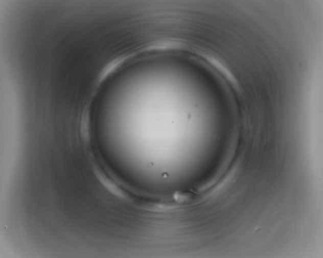 X0000114400842200910231108