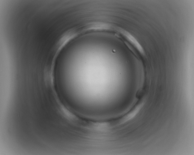 X0000114400845200910231108