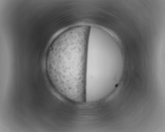 X0000114400846200910231108