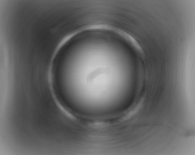 X0000114400847200910231108