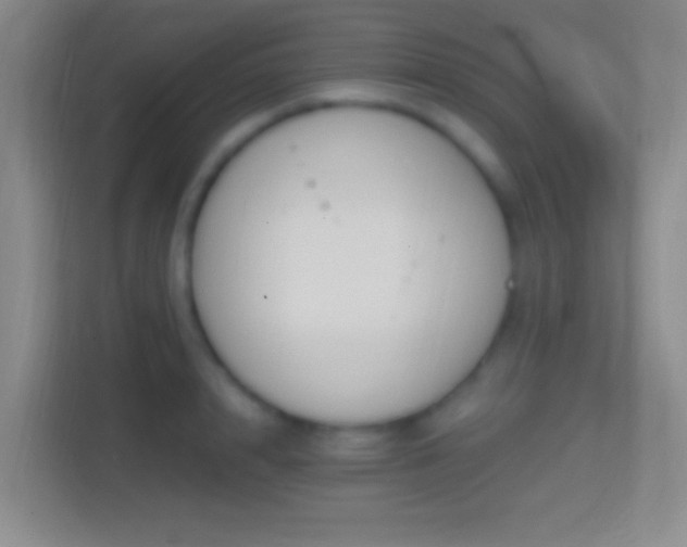 X0000114400848200910231108