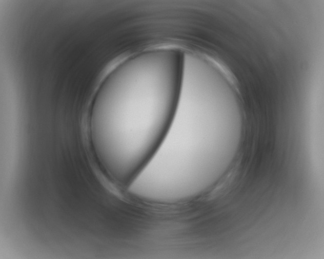 X0000114400850200910231108