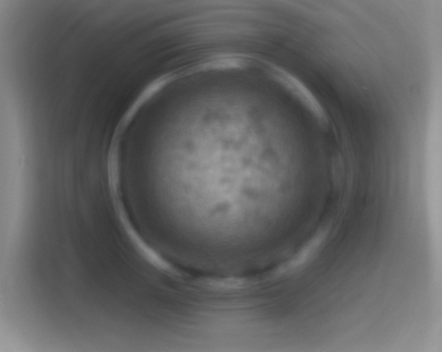 X0000114400851200910231108