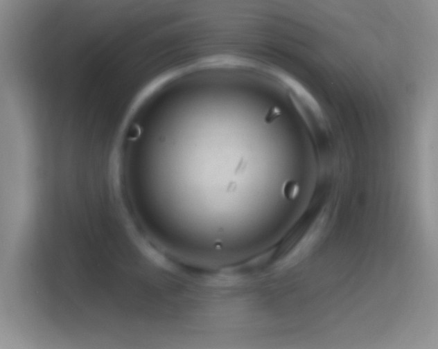 X0000114400854200910231108