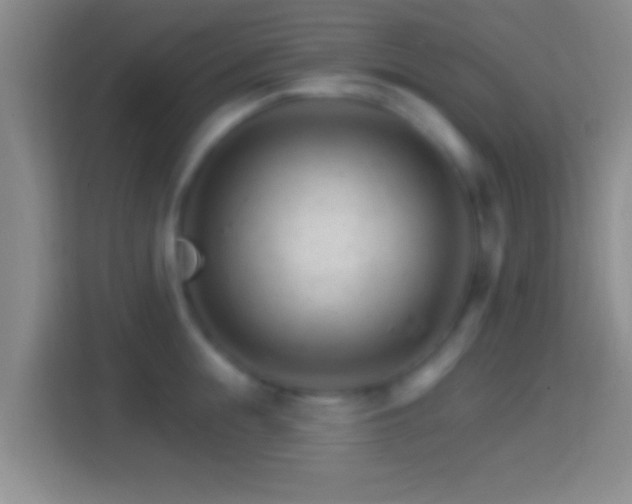 X0000114400855200910231108