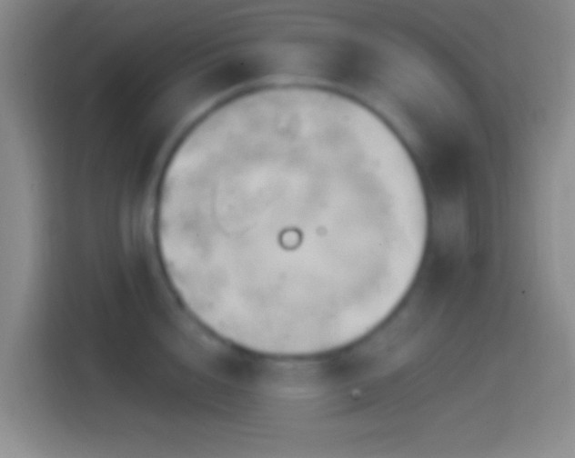 X0000114400856200910231108