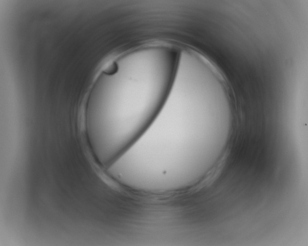 X0000114400858200910231108