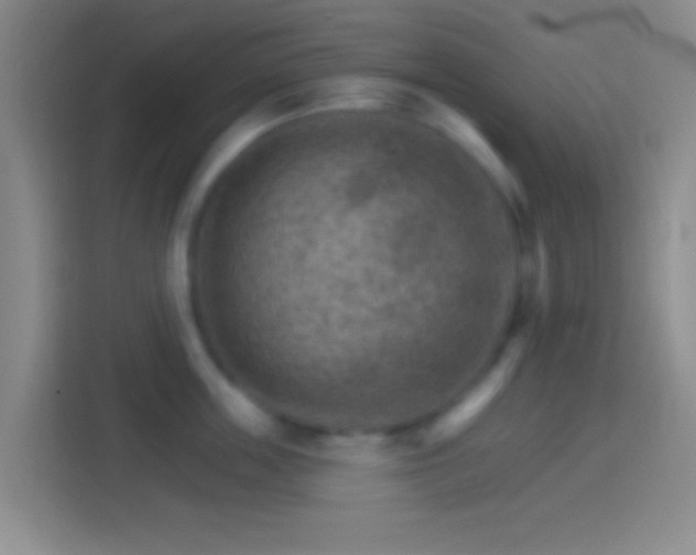 X0000114400859200910231108