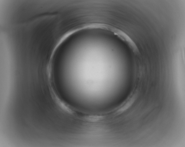 X0000114400860200910231108