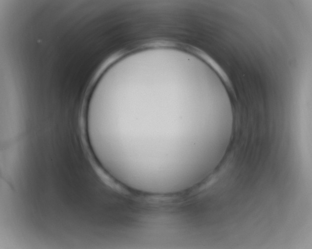 X0000114400861200910231108