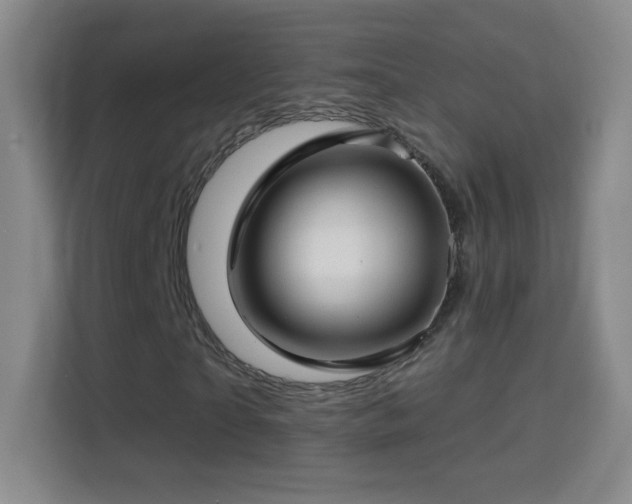 X0000114400865200910231107