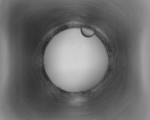 X0000114400870200910231107