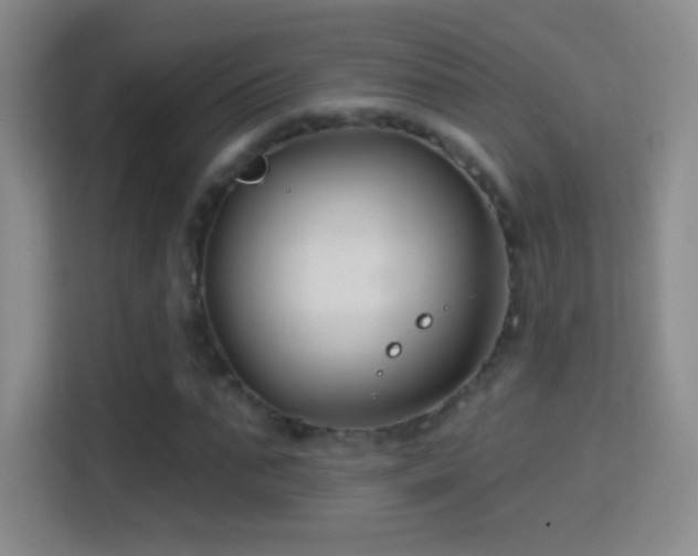 X0000114400871200910231107