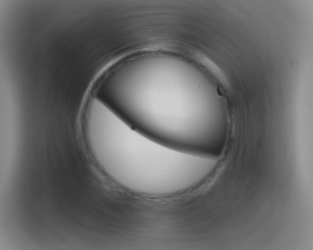 X0000114400876200910231107