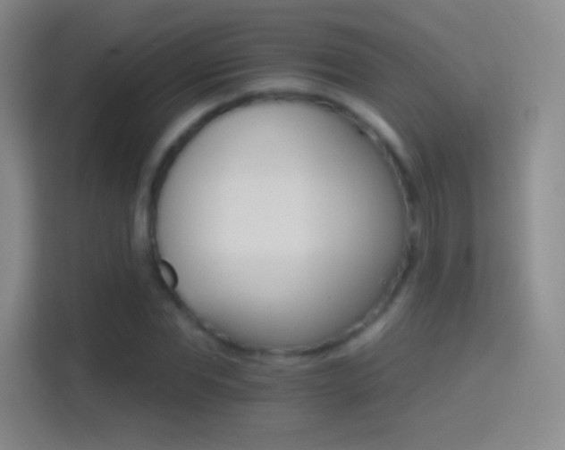 X0000114400877200910231107