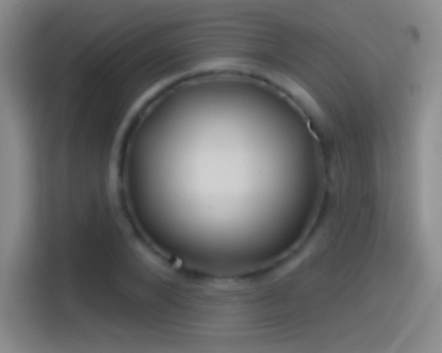 X0000114400880200910231107