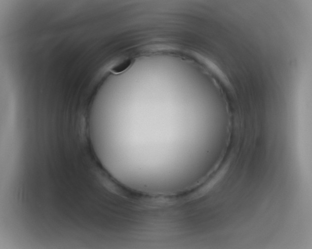 X0000114400881200910231107