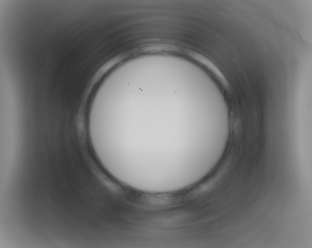 X0000114400882200910231107