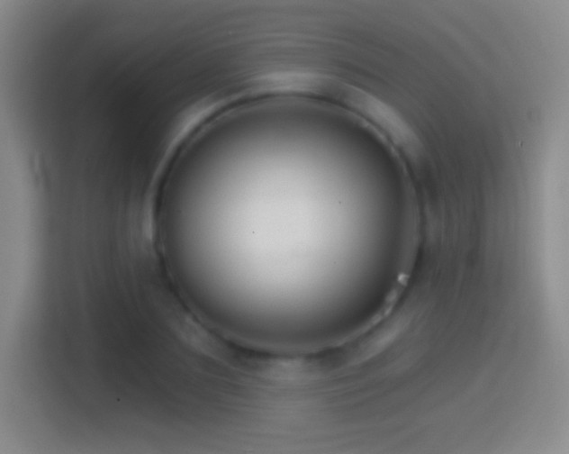 X0000114400883200910231107