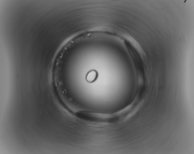 X0000114400884200910231107