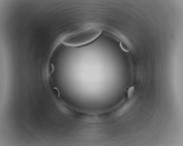 X0000114400885200910231107