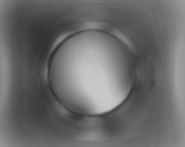 X0000114400886200910231107