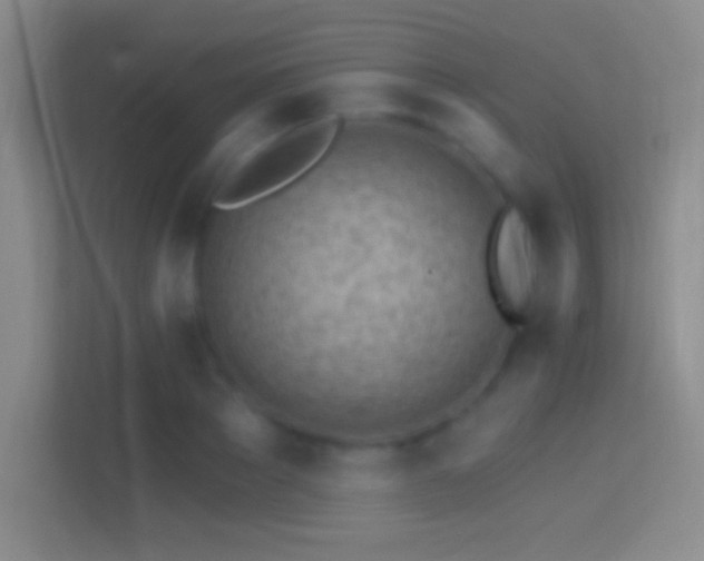 X0000114400889200910231107