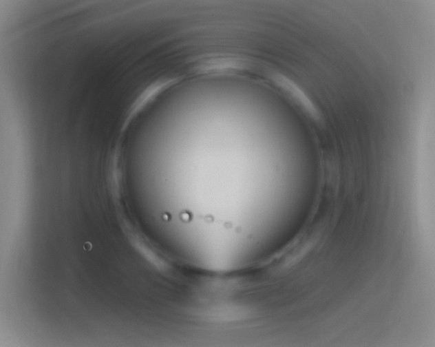 X0000114400890200910231107