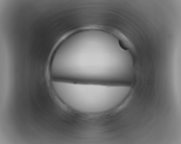 X0000114400892200910231107