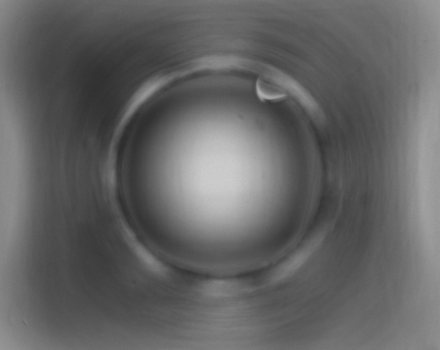 X0000114400894200910231107